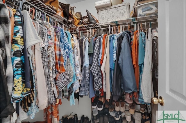 view of walk in closet