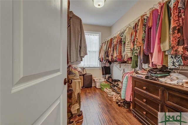 walk in closet featuring wood finished floors