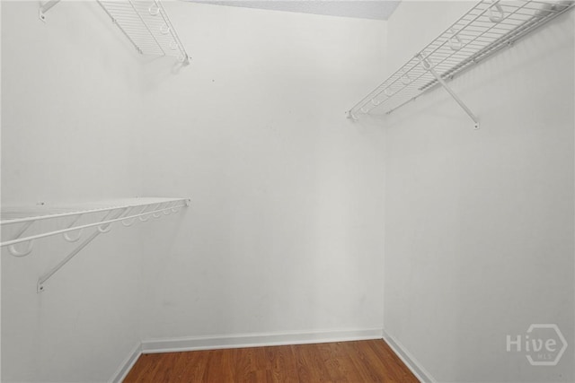 400 Tibet Ave Unit 39, Savannah, GA 31406 - photo 38