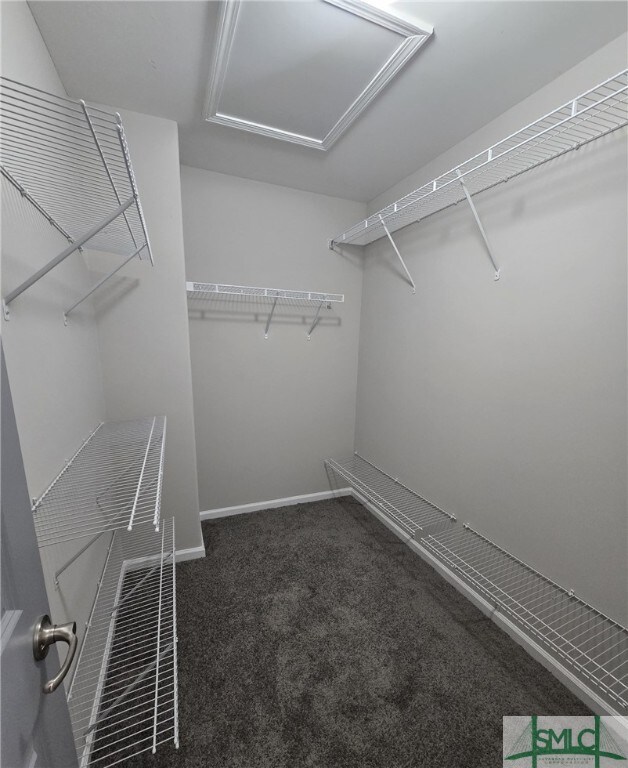 12 Noble Jones Ct, Port Wentworth, GA 31407 - spacious closet with carpet and attic access