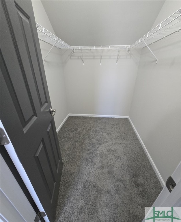 12 Noble Jones Ct, Port Wentworth, GA 31407 - spacious closet featuring carpet flooring and vaulted ceiling