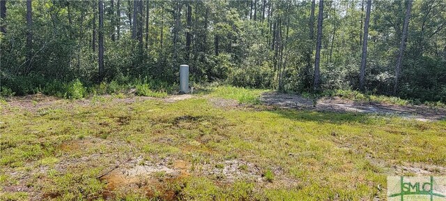 1367 Low Ground Rd, Guyton, GA 31312 - photo 7