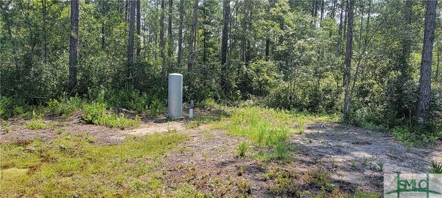 1367 Low Ground Rd, Guyton, GA 31312 - photo 10