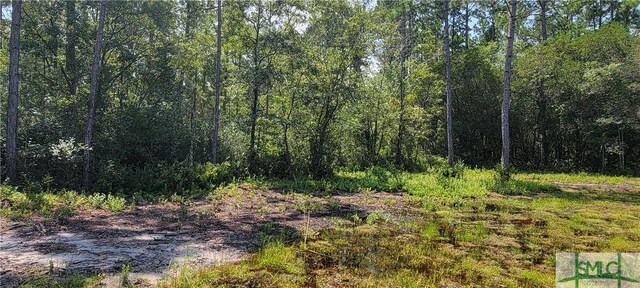 1367 Low Ground Rd, Guyton, GA 31312 - photo 12
