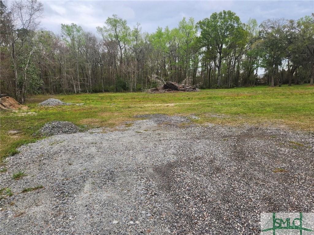 0 Hodgeville Rd, Rincon, GA 31326