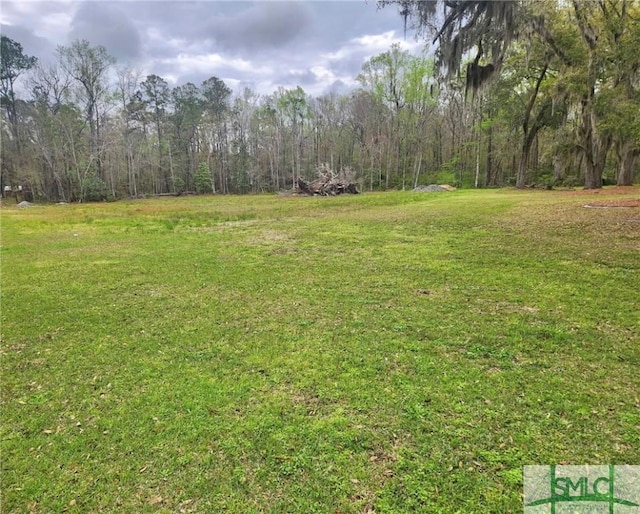 0 Hodgeville Rd, Rincon, GA 31326