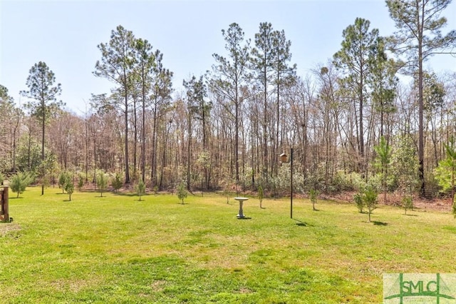 109 Lorenzo Hurst Rd, Springfield, GA 31329 - photo 38