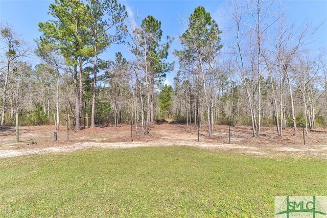 109 Lorenzo Hurst Rd, Springfield, GA 31329 - photo 39