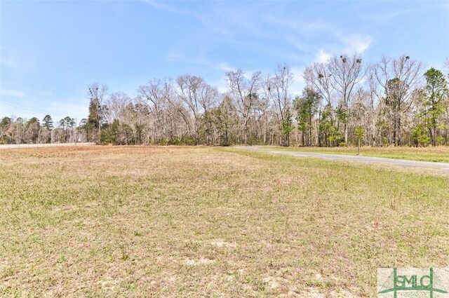 109 Lorenzo Hurst Rd, Springfield, GA 31329 - photo 44