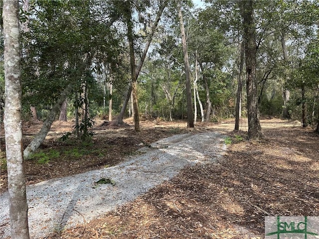 0 Oemler Rd, Savannah, GA 31410 - photo 2
