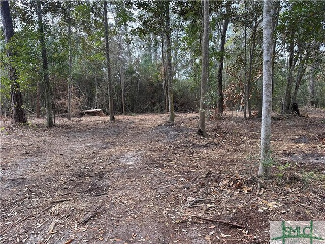 0 Oemler Rd, Savannah, GA 31410 - photo 3