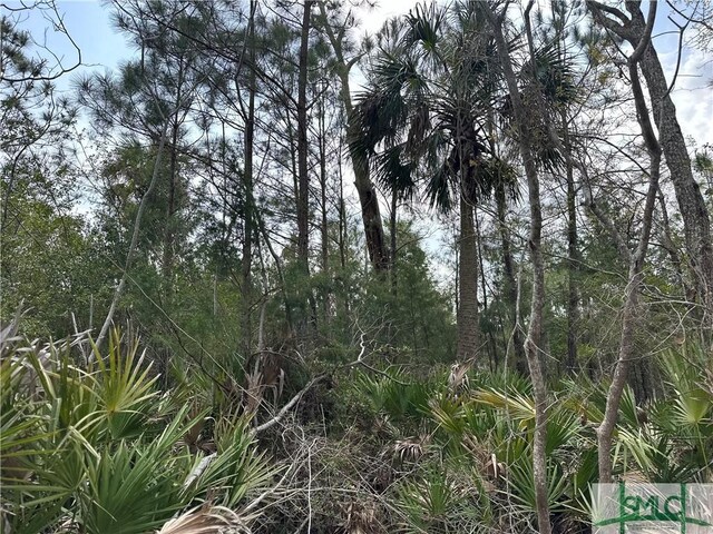 0 Oemler Rd, Savannah, GA 31410 - photo 4