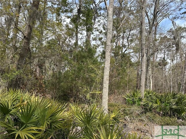 0 Oemler Rd, Savannah, GA 31410 - photo 5