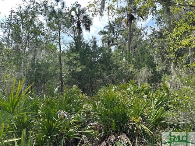0 Oemler Rd, Savannah, GA 31410 - photo 6