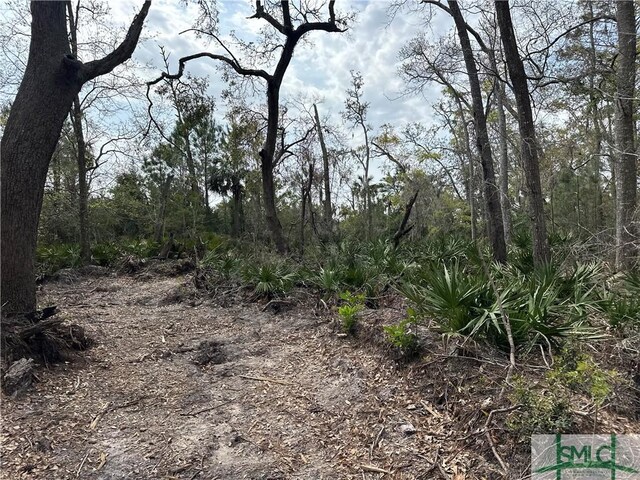 0 Oemler Rd, Savannah, GA 31410 - photo 7