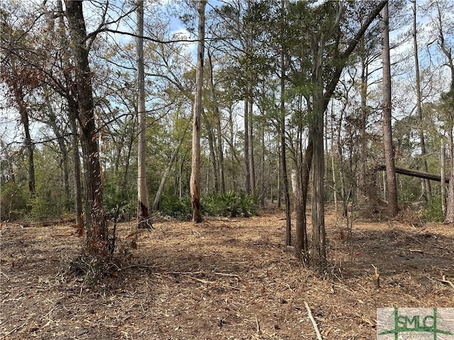0 Oemler Rd, Savannah, GA 31410 - photo 8