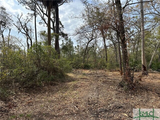 0 Oemler Rd, Savannah, GA 31410 - photo 9