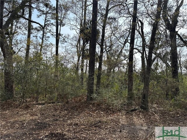 0 Oemler Rd, Savannah, GA 31410 - photo 10