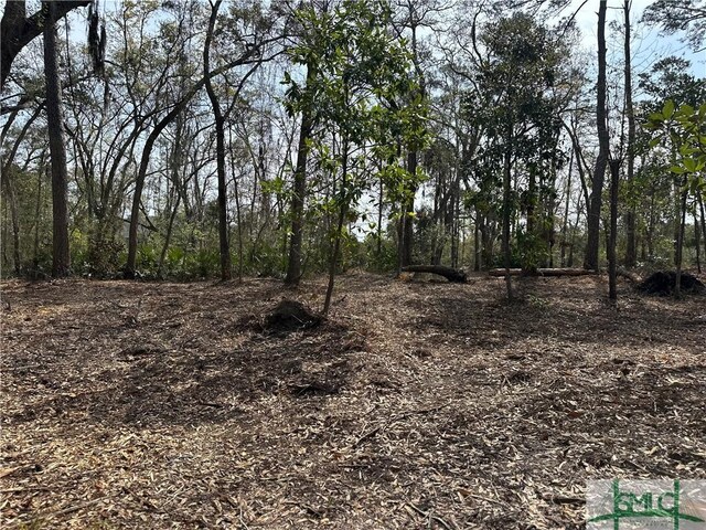 0 Oemler Rd, Savannah, GA 31410 - photo 11