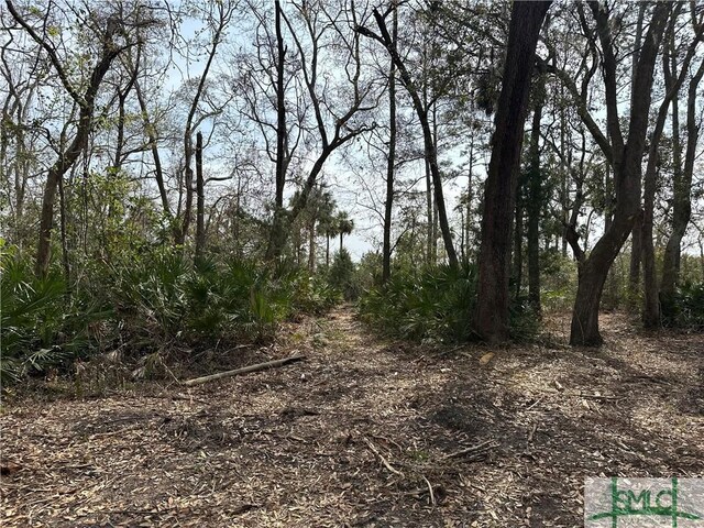 0 Oemler Rd, Savannah, GA 31410 - photo 12