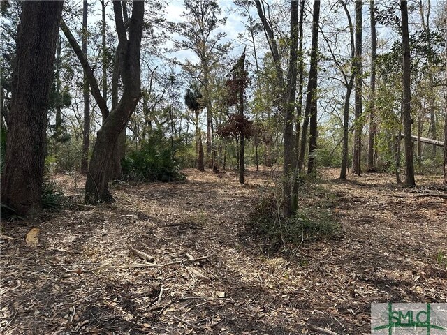 0 Oemler Rd, Savannah, GA 31410 - photo 13
