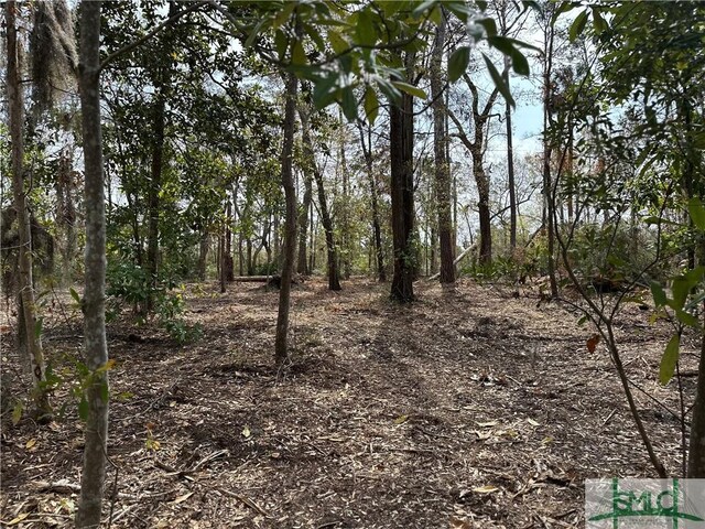 0 Oemler Rd, Savannah, GA 31410 - photo 14