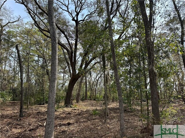 0 Oemler Rd, Savannah, GA 31410 - photo 15