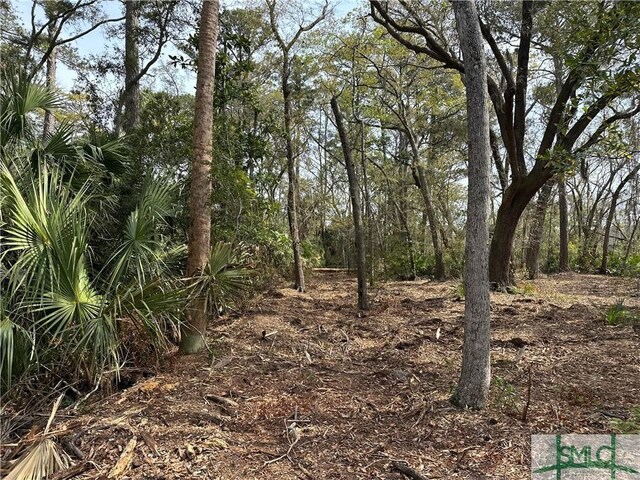0 Oemler Rd, Savannah, GA 31410 - photo 16