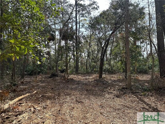 0 Oemler Rd, Savannah, GA 31410 - photo 17