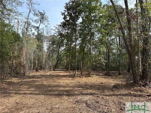 0 Oemler Rd, Savannah, GA 31410 - photo 18