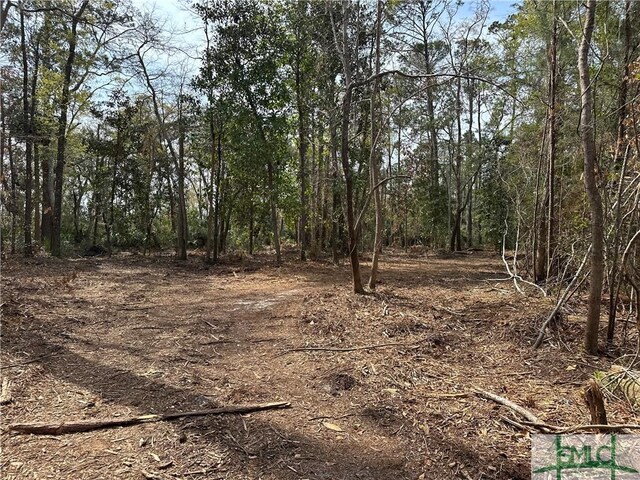 0 Oemler Rd, Savannah, GA 31410 - photo 19