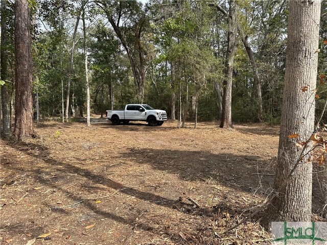 0 Oemler Rd, Savannah, GA 31410 - photo 20