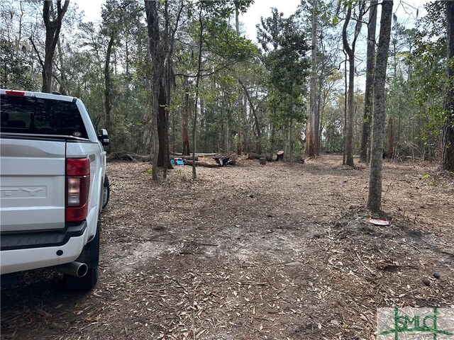0 Oemler Rd, Savannah, GA 31410 - photo 21