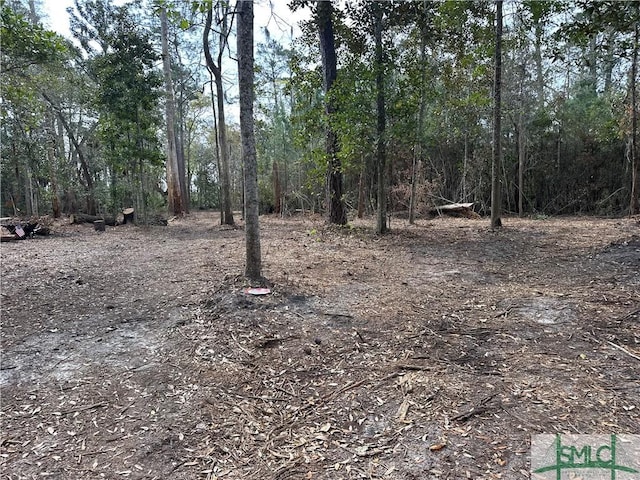 0 Oemler Rd, Savannah, GA 31410 - photo 22