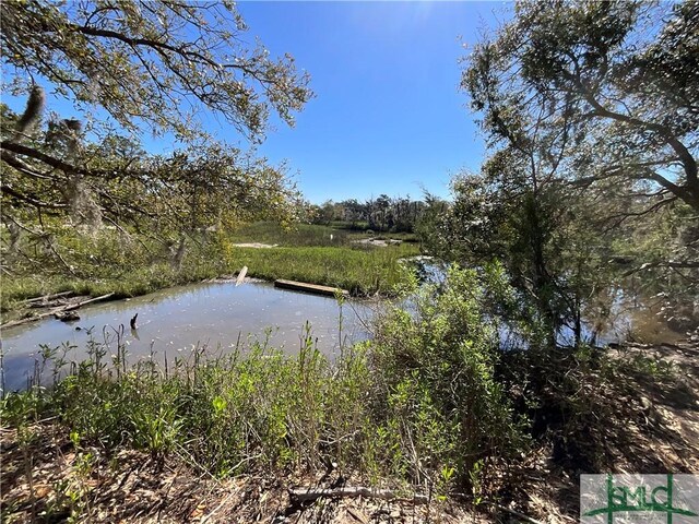 0 Oemler Rd, Savannah, GA 31410 - photo 25