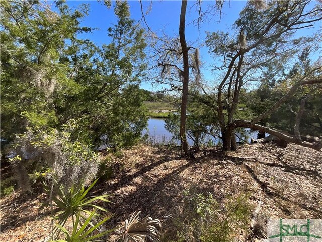0 Oemler Rd, Savannah, GA 31410 - photo 26