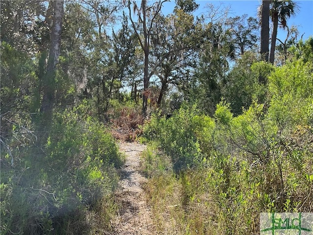 0 Oemler Rd, Savannah, GA 31410 - photo 27