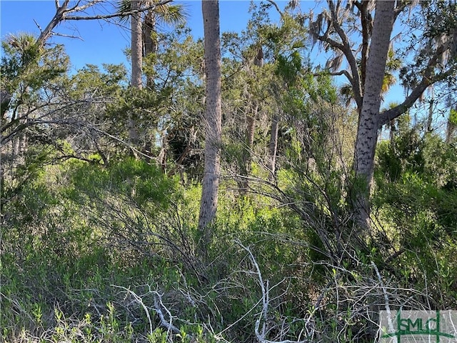 0 Oemler Rd, Savannah, GA 31410 - photo 36