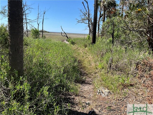 0 Oemler Rd, Savannah, GA 31410 - photo 37