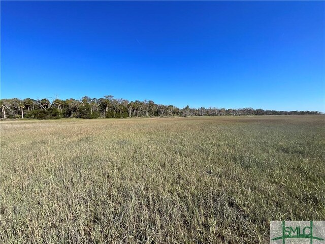 0 Oemler Rd, Savannah, GA 31410 - photo 40