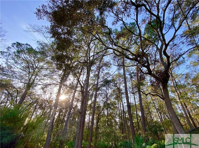 22 Colonel Estill Ave, Savannah, GA 31406 - view of nature
