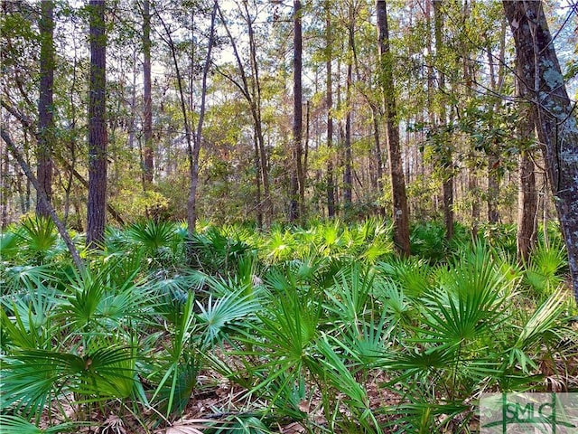 22 Colonel Estill Ave, Savannah, GA 31406 - view of nature