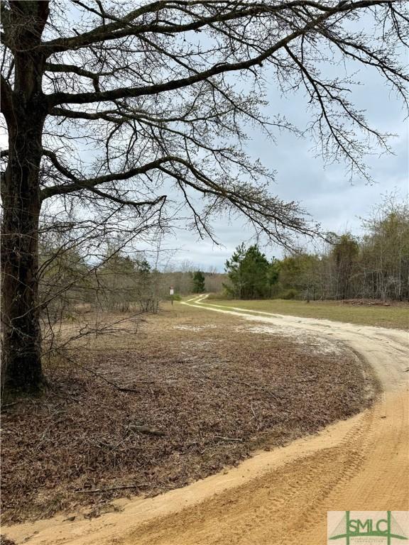 445 Winchester Rd, Sylvania, GA 30467 - view of road