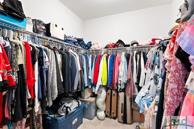 82 Rimmon Ct, Richmond Hill, GA 31324 - spacious closet with carpet flooring