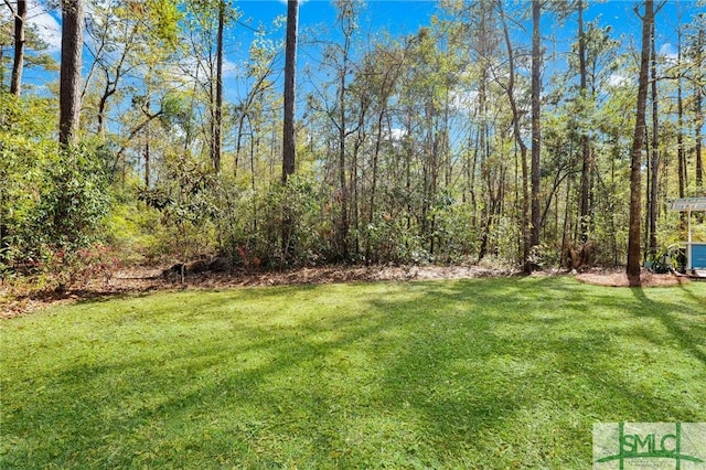 93 Bradford Pear Dr, Richmond Hill, GA 31324 - view of grassy yard