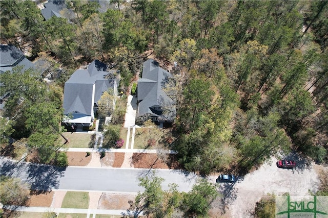 93 Bradford Pear Dr, Richmond Hill, GA 31324 - bird's eye view
