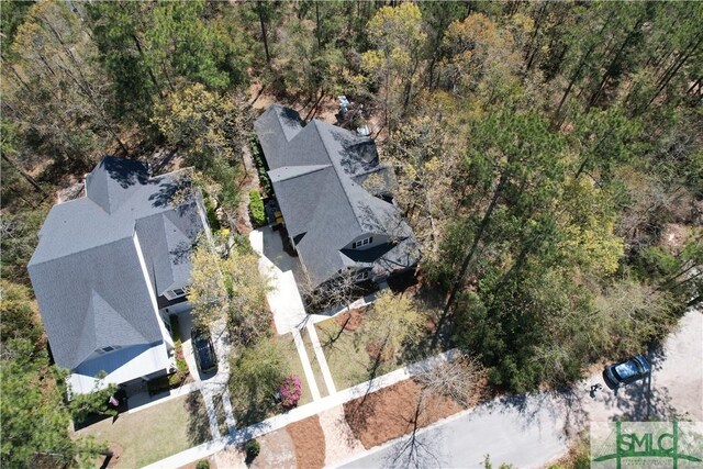 93 Bradford Pear Dr, Richmond Hill, GA 31324 - bird's eye view