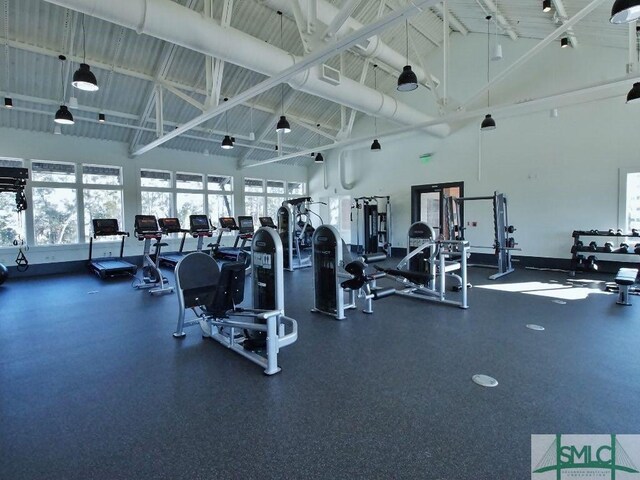 93 Bradford Pear Dr, Richmond Hill, GA 31324 - exercise room with high vaulted ceiling