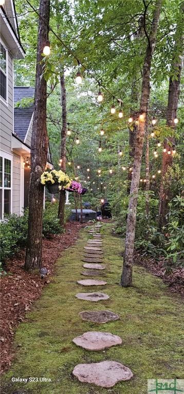 93 Bradford Pear Dr, Richmond Hill, GA 31324 - view of yard