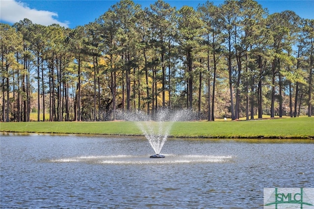 view of water feature